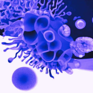 Microbiota Intestinale